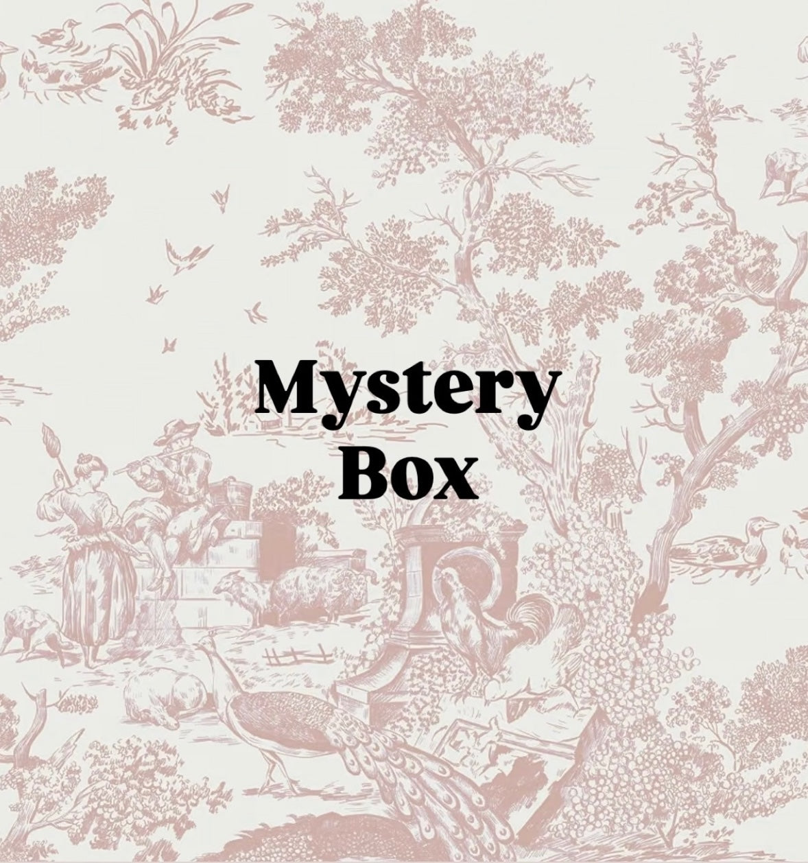 Mystery Box