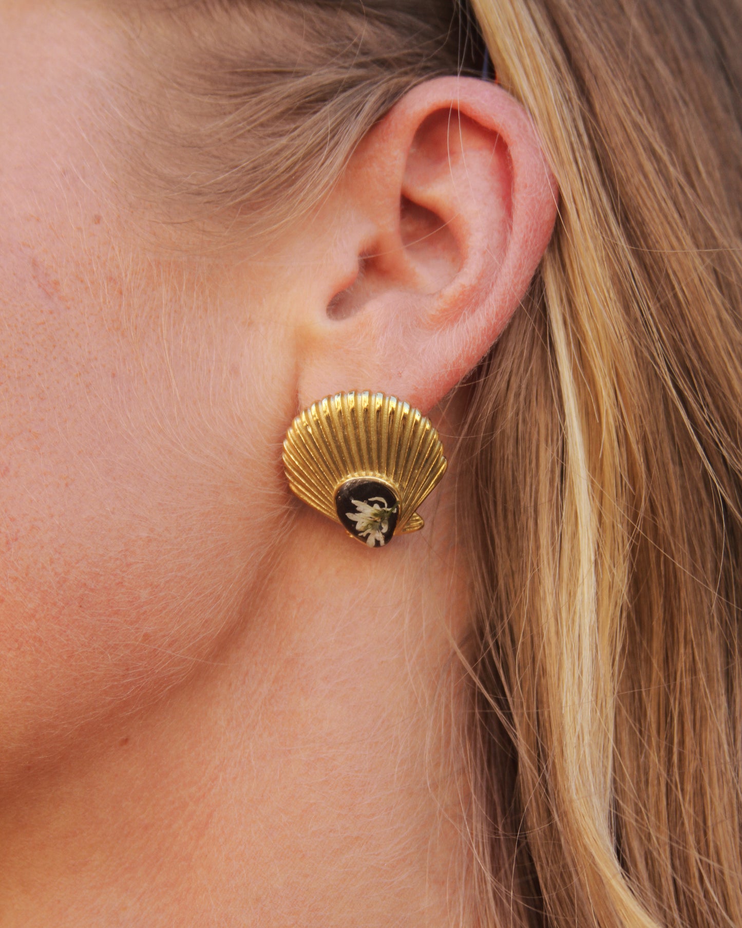 Gold Shell Earrings